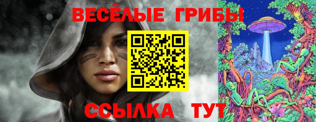 Галлюциногенные грибы Psilocybe Кстово