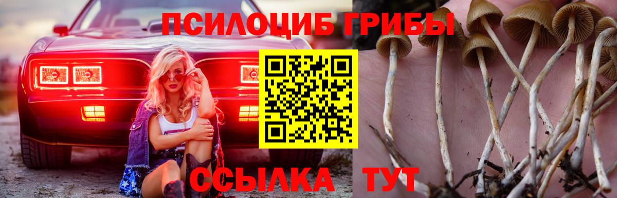 Кстово  Псилоцибиновые грибы MAGIC MUSHROOMS  Галлюциногенные грибы прущие грибы  Вход с VPN 